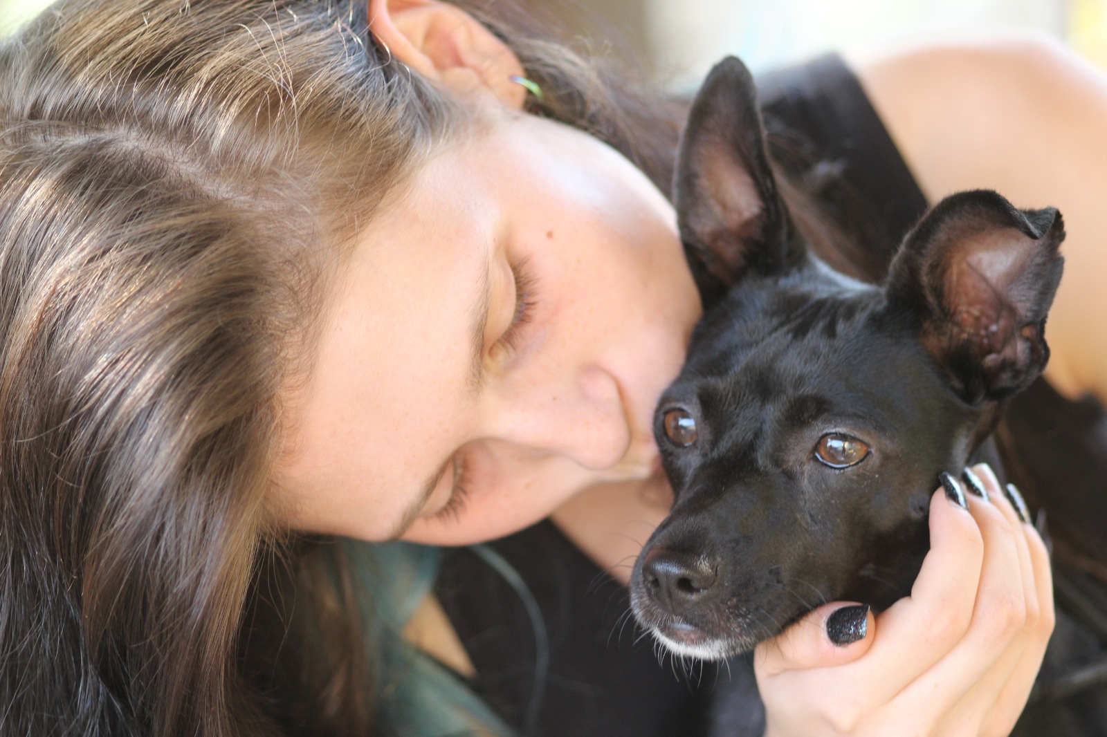 Cane ospite che riceve una coccola