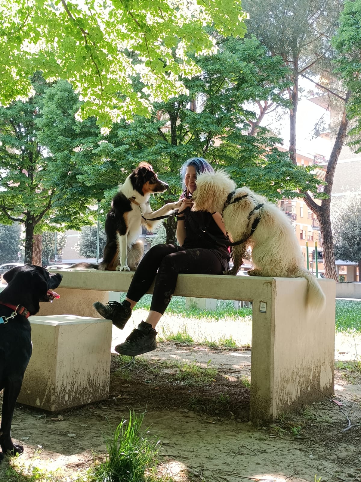 Gemma con i cani al parco